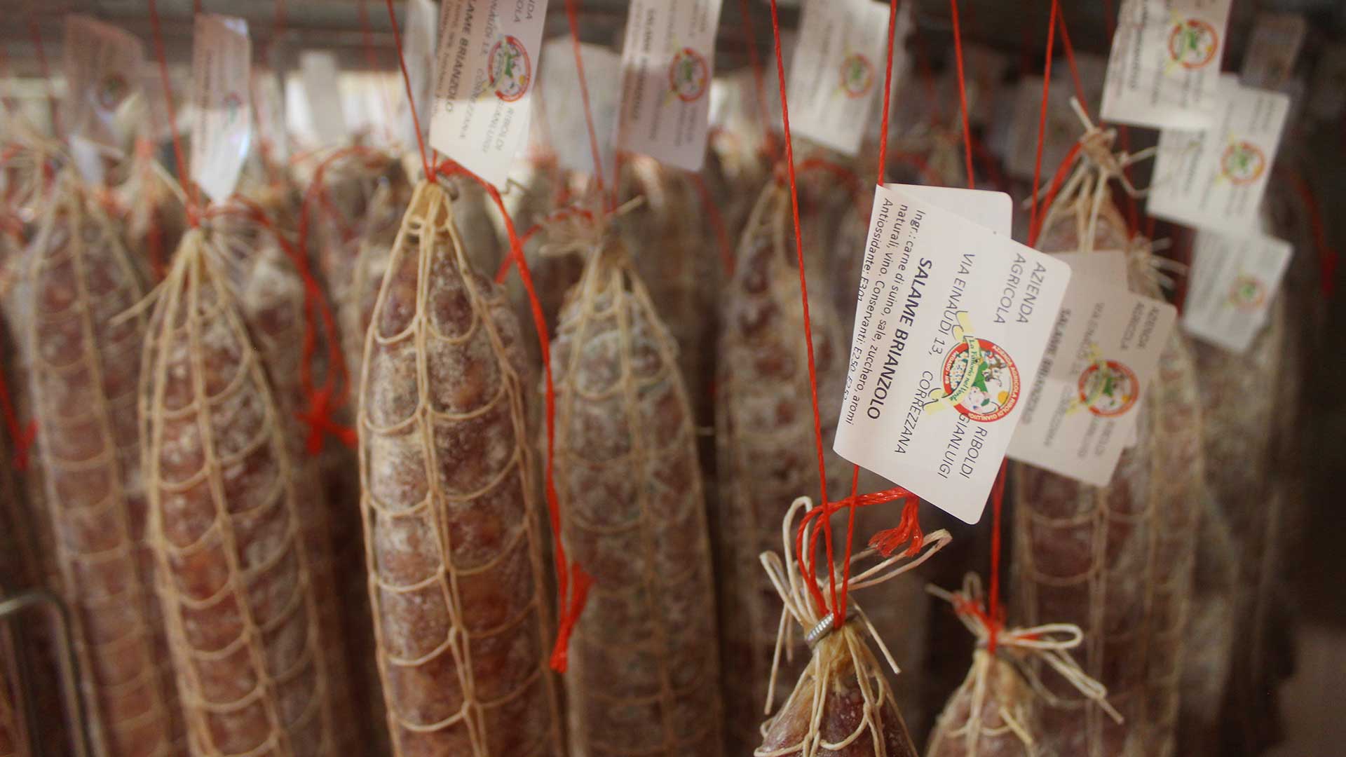 Salami