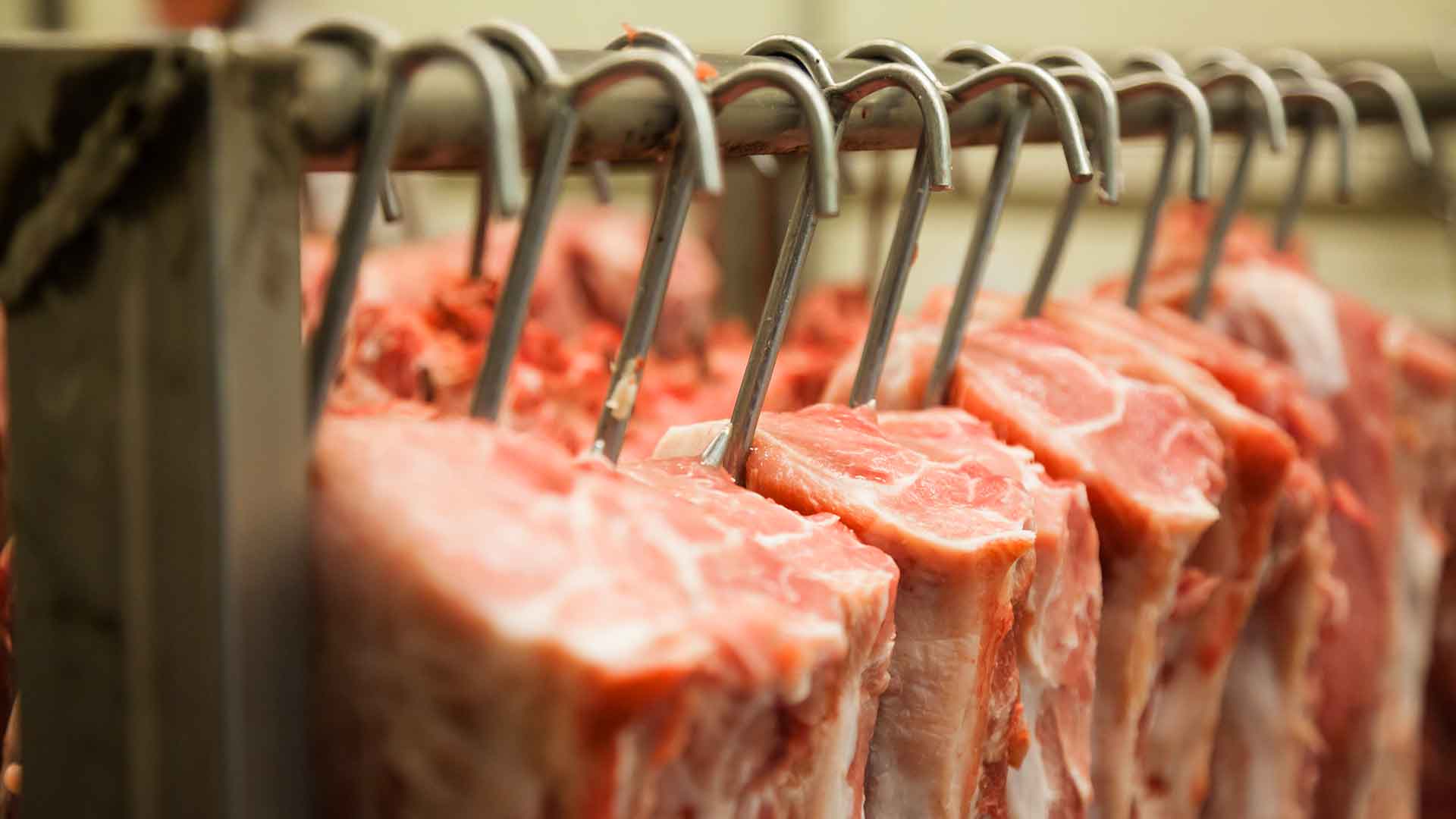 Salumificio carni